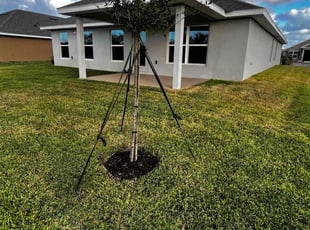 Travis W.'s Lawn Care service result