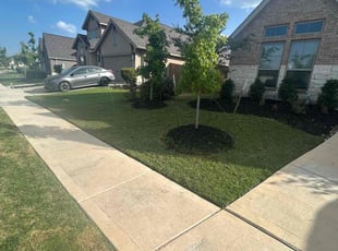 CHARLOTTE C.'s Lawn Care service result