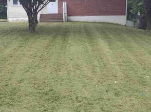 Leonard J.'s Yard Cutting service result