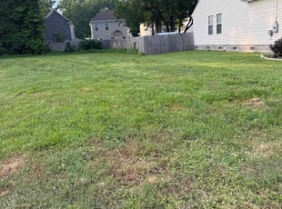 Leaf Removal by Shayron Jones for James W. in Suffolk, VA