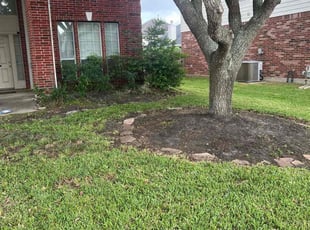 Leaf Removal by Paul Jones for Tyler W. in Pearland, TX