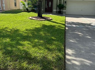 Maritza C.'s Lawn Service service result
