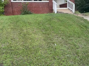 John G.'s Lawn Care service result