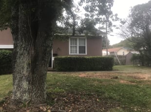Bush Trimming by Robert Brooks for Lenoir P. in Charlotte, NC