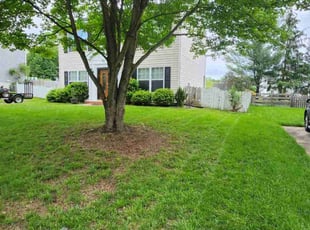 Bethany R.'s Lawn Maintenance service result