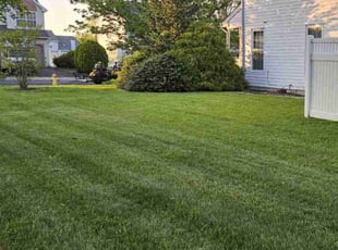 Jennifer N.'s Lawn Service service result