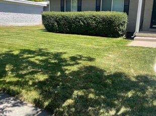 James B.'s Lawn Service service result