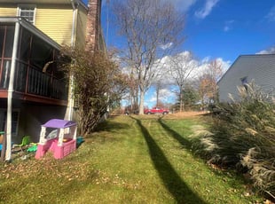Patrick T.'s Grass Cutting service result