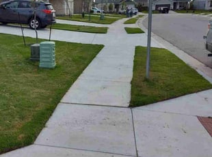 Darnell T.'s Lawn Care service result
