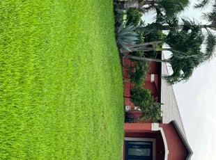 Cindy Y.'s Yard Cutting service result