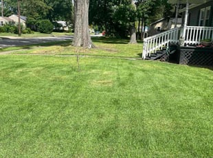 Ramon D.'s Lawn Mowing Service service result