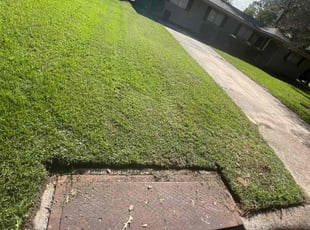 Qudsia A.'s Lawn Mowing service result