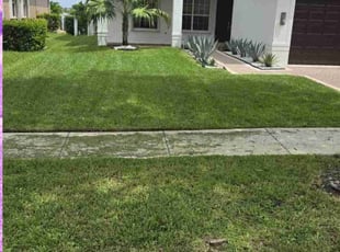 Ray C.'s Grass Cutting service result