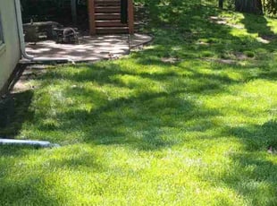 Franklin S.'s Lawn Mowing service result