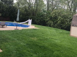 Sylvia W.'s Yard Cutting service result