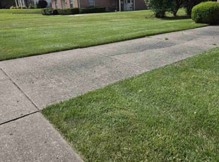 Minerva V.'s Yard Cutting service result