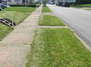Cory S.'s Lawn Maintenance service result