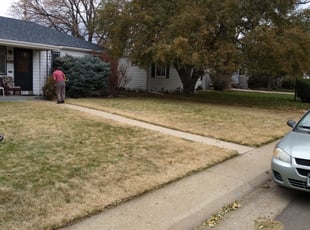 Leaf Removal by Joseph Schweffermann for Diane M. in Edgewater, CO