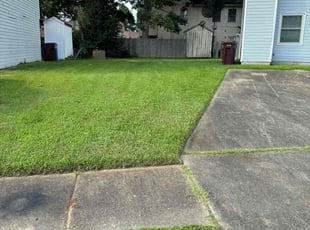 Matthew T.'s Yard Cutting service result