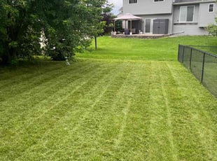 Chris H.'s Lawn Mowing service result