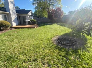 Brett S.'s Yard Cutting service result