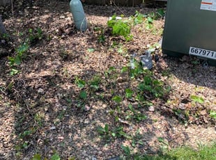 Leaf Removal by David Sigmon for Judt B. in Wichita, KS