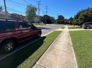 Frances A.'s Lawn Care service result
