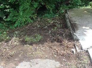 Bush Trimming by Rebecca Lenzer for Connie D. in Cincinnati, OH