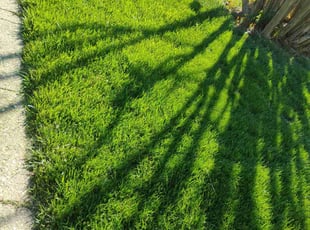 Donald B.'s Lawn Care service result