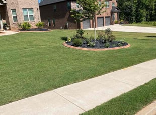 James D.'s Lawn Maintenance service result