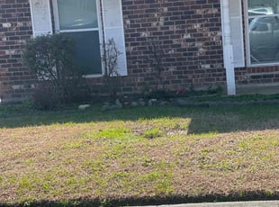 Bush Trimming by Carl George for Vanisha A. in Baton Rouge, LA