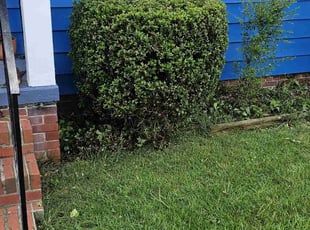 Bush Trimming by Nathaniel Howard for Ron A. in Richmond, VA