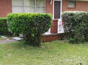 Bush Trimming by Joseph Graham for Erica T. in Decatur, GA