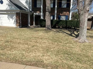 Leaf Removal by Elston Diaz for Caleb A. in Grapevine, TX