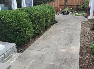 Bush Trimming by Douglas Rivas for Timothy Y. in Washington, DC