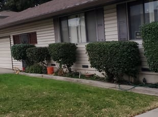 Bush Trimming by Joshua Catlin for Richard C. in Stockton, CA