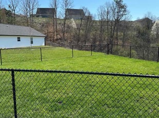 JoeAnn R.'s Lawn Mowing service result