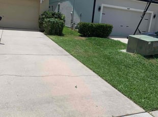 Bush Trimming by Evans Marcelin for Vanessa M. in Orlando, FL