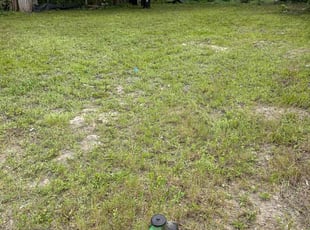 Cleanups by Hector's Lawncare C for Brandyn S. in Orlando, FL