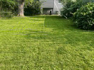 Lorraine J.'s Lawn Mowing Service service result