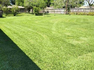 Jason K.'s Grass Cutting service result