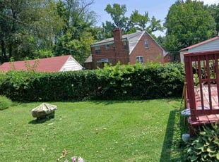 Eva D.'s Lawn Mowing Service service result
