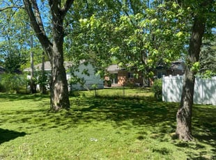 kelly s.'s Lawn Mowing service result