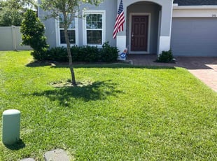 Corinne S.'s Grass Cutting service result