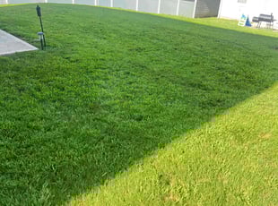 Joy M.'s Grass Cutting service result