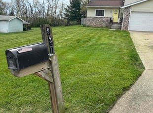 Kathy V.'s Lawn Maintenance service result