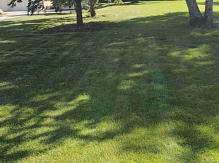 Nancy M.'s Grass Cutting service result