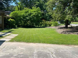 Frankie h.'s Lawn Mowing Service service result
