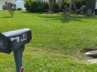 Jerry L.'s Lawn Mowing Service service result