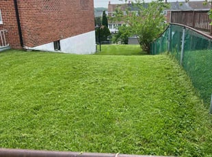 Tom J.'s Lawn Service service result